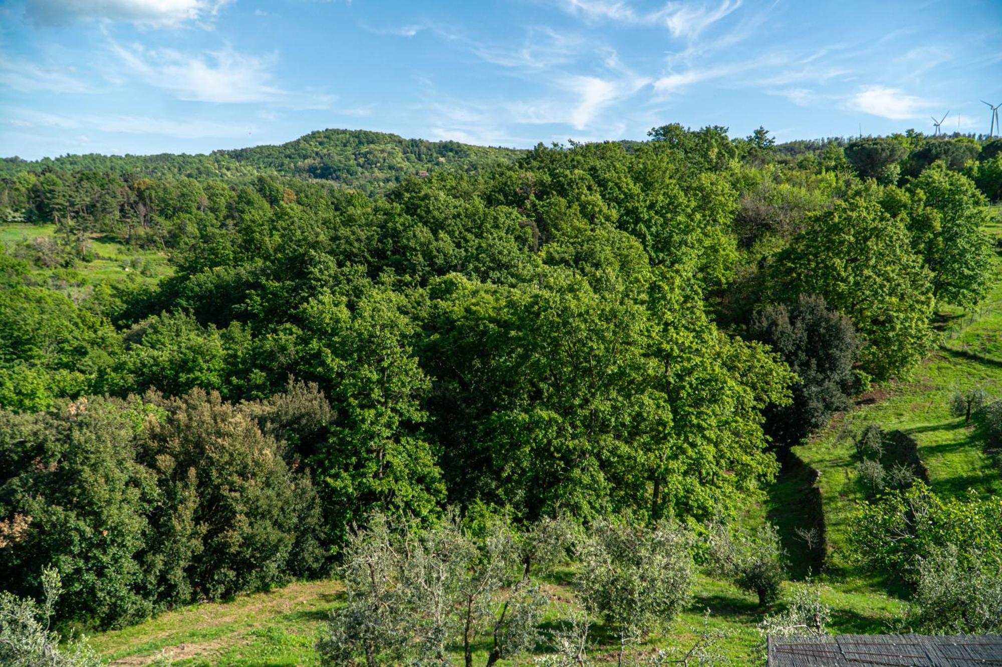 Piccozzo Agritour Aparthotel Casciana Terme Εξωτερικό φωτογραφία